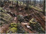 Kraljev hrib - Domžalski dom na Mali planini